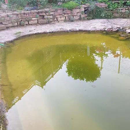 Mit Sauna, Garten & Schwimmteich * Bietigheim-Bissingen