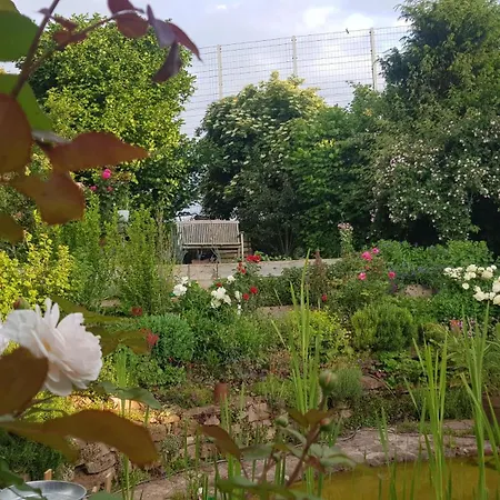 Mit Sauna, Garten & Schwimmteich Apartment Bietigheim-Bissingen