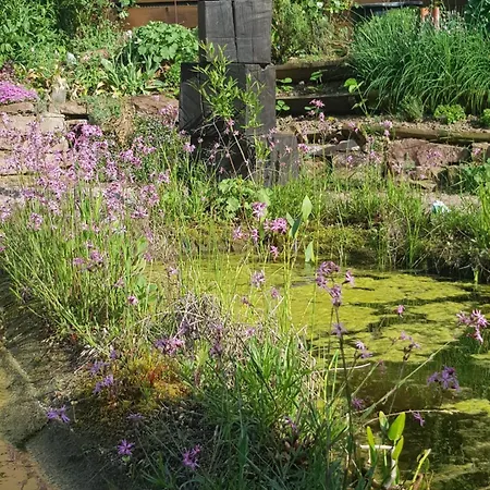 Mit Sauna, Garten&schwimmteich *