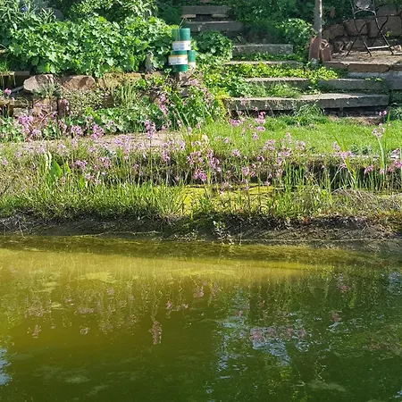 Mit Sauna, Garten & Schwimmteich * Bietigheim-Bissingen