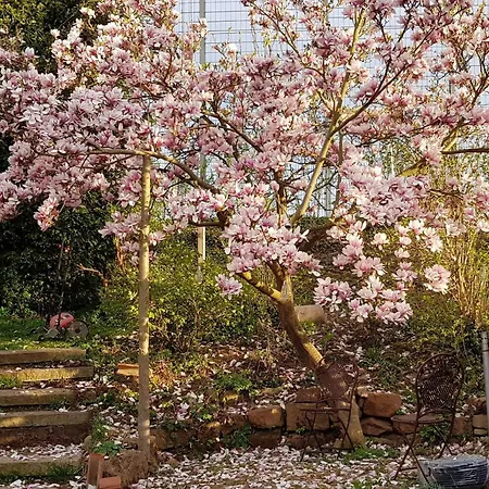 Mit Sauna, Garten&schwimmteich *