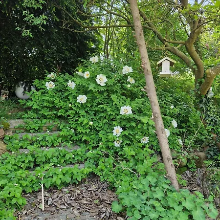 Mit Sauna, Garten & Schwimmteich Bietigheim-Bissingen
